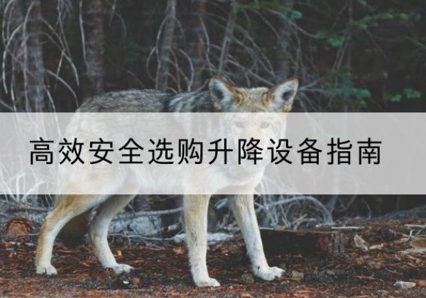 让胡路升降货梯厂家推荐-*安全选购升降设备指南