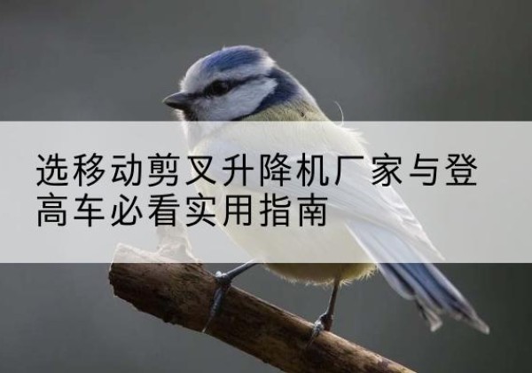 让胡路电动升降机厂家-选移动剪叉升降机厂家与登高车必看实用指南