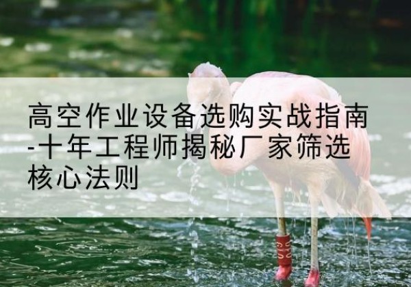 让胡路剪叉式升降机厂家-高空作业设备选购实战指南-十年工程师揭秘厂家筛选核心法则